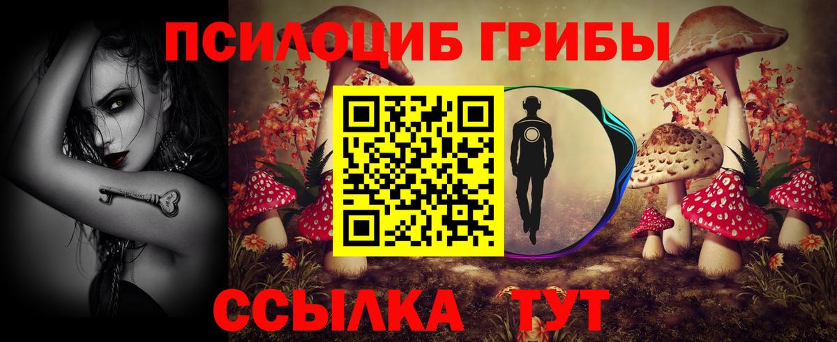 Псилоцибиновые грибы Psilocybe Минусинск